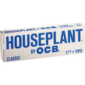 24 Ct. Classic 1.25" Papers Houseplant by Ocb